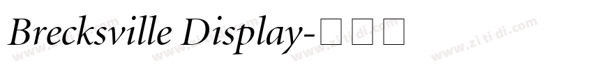Brecksville Display字体转换
